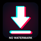 Download video no watermark icon