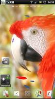 parrot live wallpaper poster