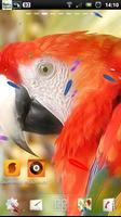 parrot live wallpaper screenshot 1