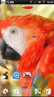 parrot live wallpaper screenshot 2