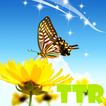 motyl lwp