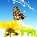 live wallpapers butterfly APK
