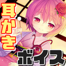 耳かきボイス 添い寝ボイス ASMR ～萌え美少女からのご奉仕 シャンプー音も～ APK