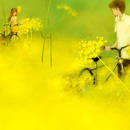 Thơ Tình APK