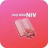 Holy Bible NIV icône