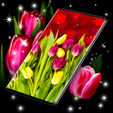 Spring Tulip Live Wallpaper icône