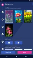 Spring Tulip Live Wallpaper постер