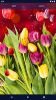Spring Tulip Live Wallpaper تصوير الشاشة 3