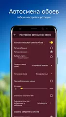 Скачать Обои с тюльпанами | Тюльпаны XAPK