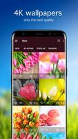Tulip Wallpapers PRO bài đăng