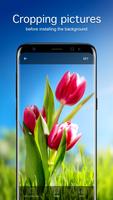 Tulip Wallpapers PRO ảnh chụp màn hình 2