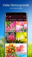 Hintergrundbilder mit Tulpe PR Plakat