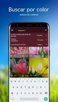 Fondos de pantalla con tulipán captura de pantalla 1