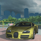 Veyron Bugatti Roadster Driver