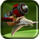 Turbojet Snail Live Wallpaper APK
