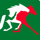 TURF FR - Tiercé, Quarté APK