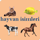 Animal names in Turkish APK