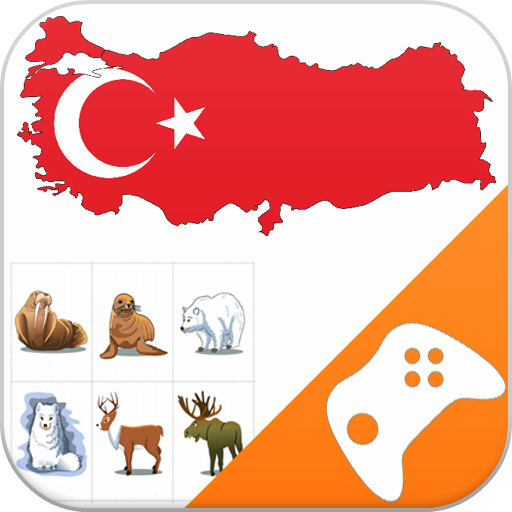 Turkish Game: Word Game, Vocab