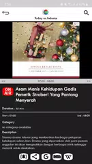 Baixar Indonesia TV Listing Guide APK