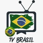 TV BRASIL ONLINE icône