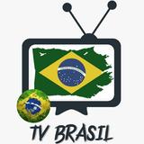 TV BRASIL ONLINE icône