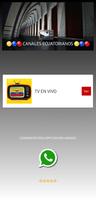 TV Ecuador - En vivo imagem de tela 1