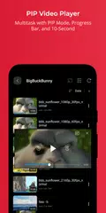 FX Player XAPK download