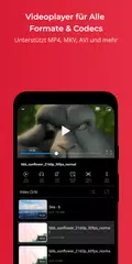 FX Player XAPK Herunterladen
