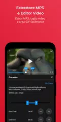 download FX Player XAPK