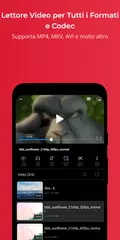 download FX Player XAPK