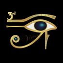 3rd iVision Network APK