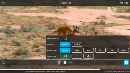 Seven Sky TV XAPK download