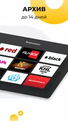 Smotreshka: online TV and more XAPK download