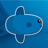 MOLA APK