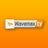 Wavemax TV APK
