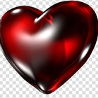 TV NOVELAS icono