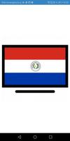 TV Paraguay captura de pantalla 3