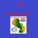 TV Y Radios Paraguayo ícone