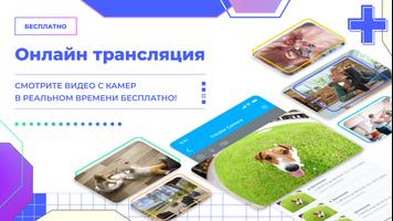 Триколор Видеонаблюдение الملصق