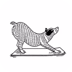 Find What Feels Good Yoga APK download