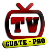 TV GUATE PRO