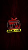 TV GUATE PRO скриншот 2