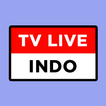 TV Indonesia Live Digital Liga