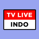 TV Indonesia Live Digital Liga APK