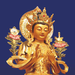 大慈山彌勒道場 icône