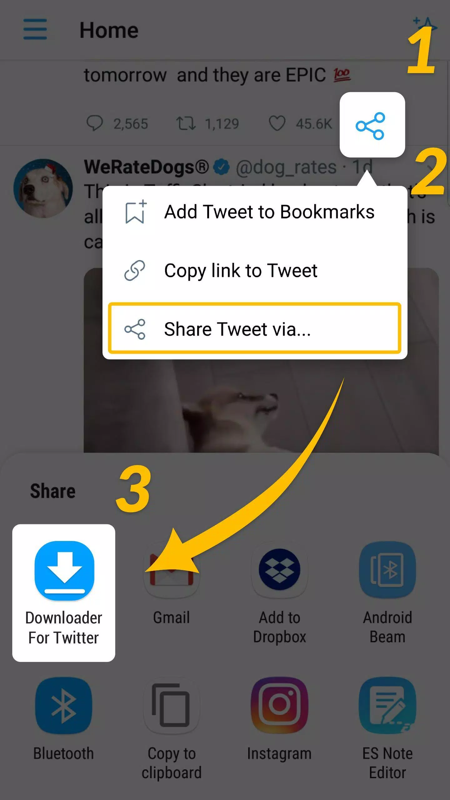 How To Download Twitter video and Gif in Android Phone