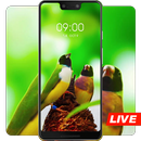 Two colored birds in nature live wallpaper APK