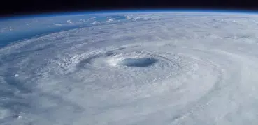 Hurricane & Typhoon Track