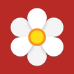 Oly, Period Tracker, Ovulation icon