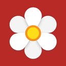 APK Oly, Period Tracker, Ovulation